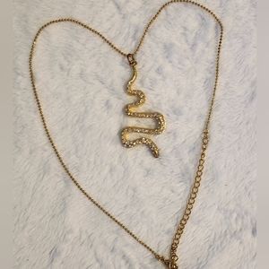 Jewelry chain with a snake